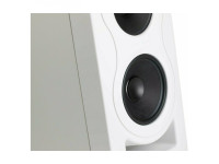 Kali Audio  IN-5 White